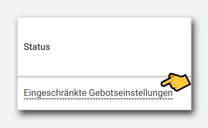 google ads kampagnenstatus