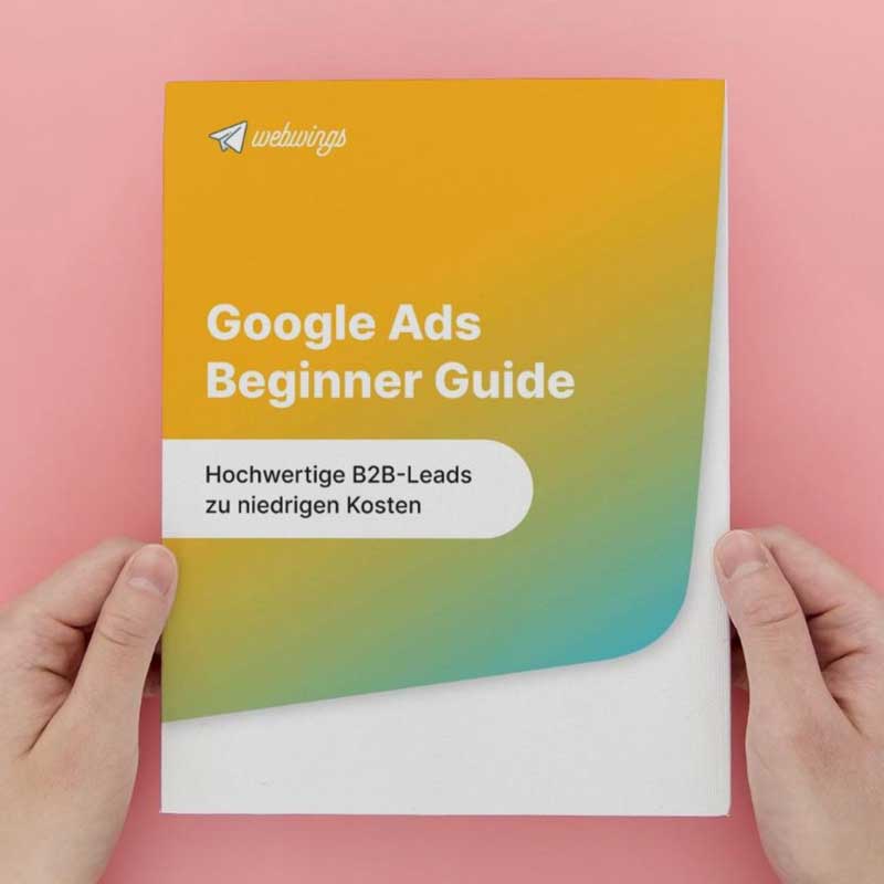 google ads beginner guide