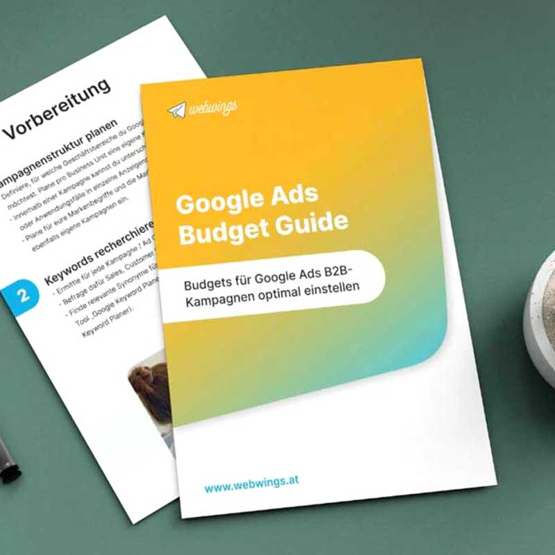 google ads budget guide